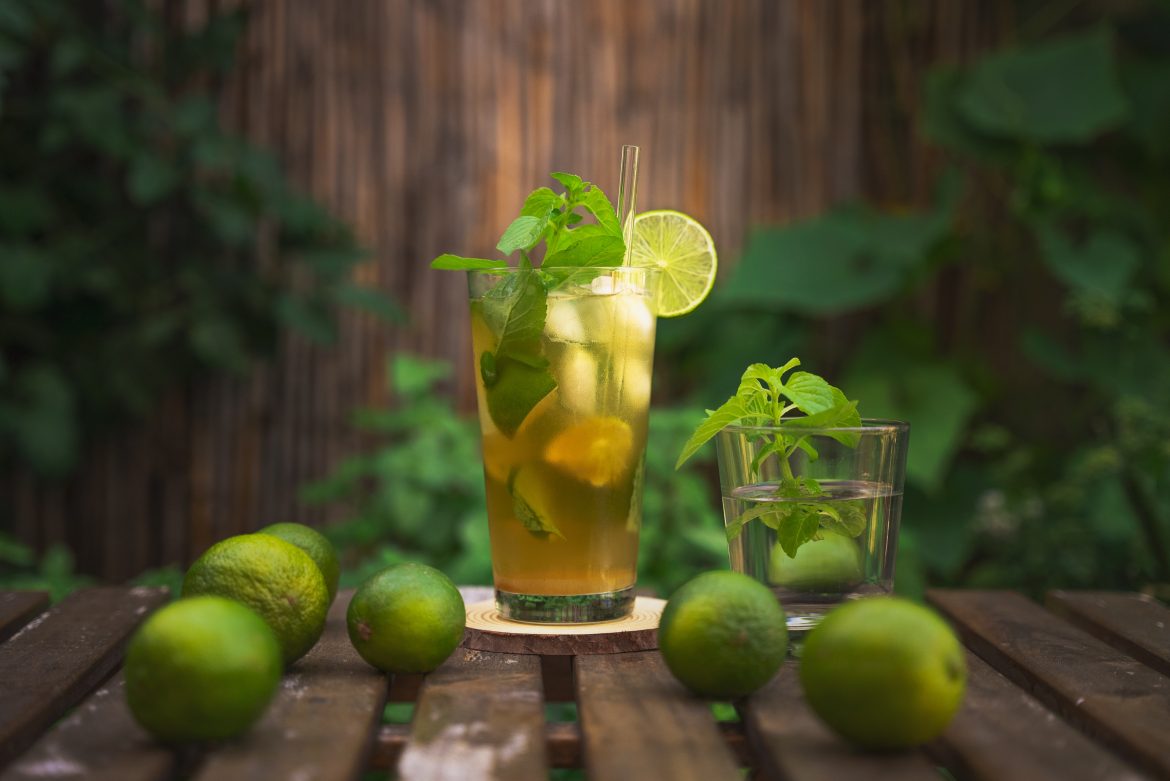 ginger-beer-meets-vodka-and-mint