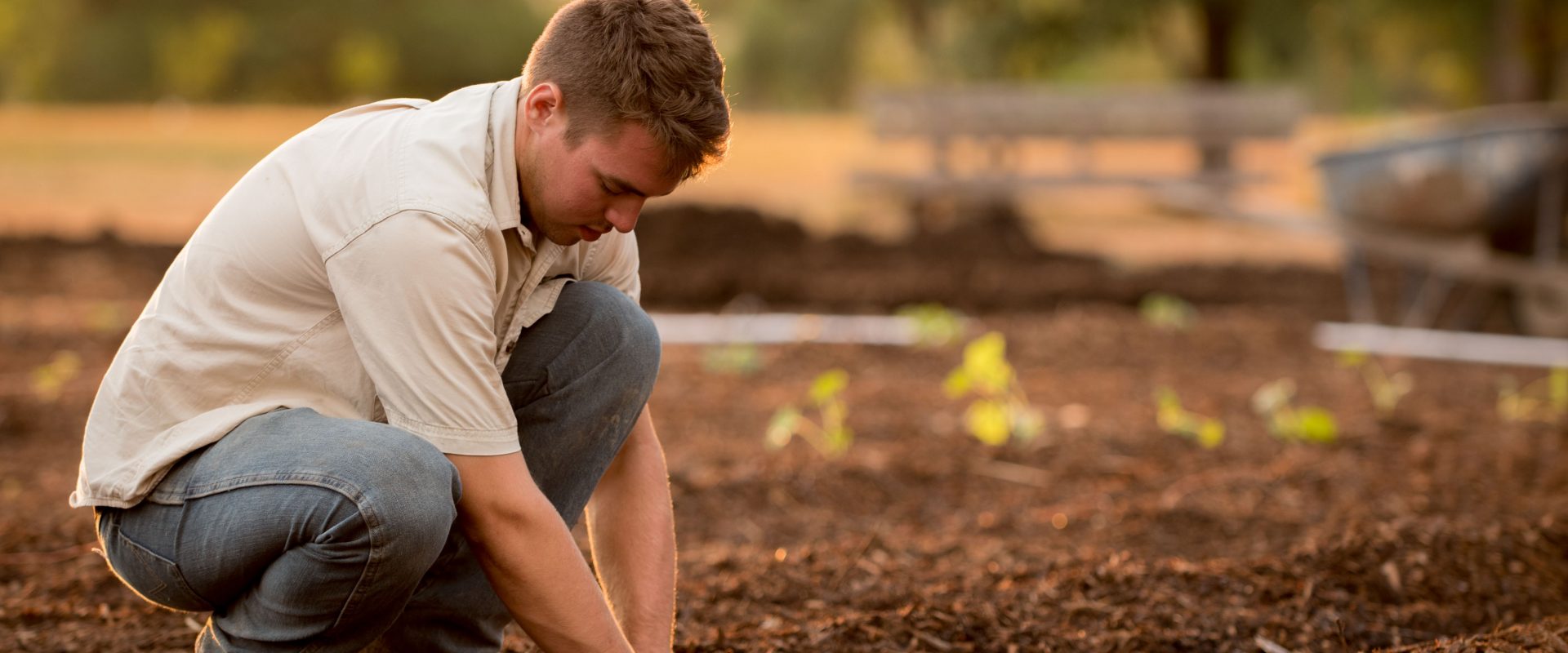 a man working with soil