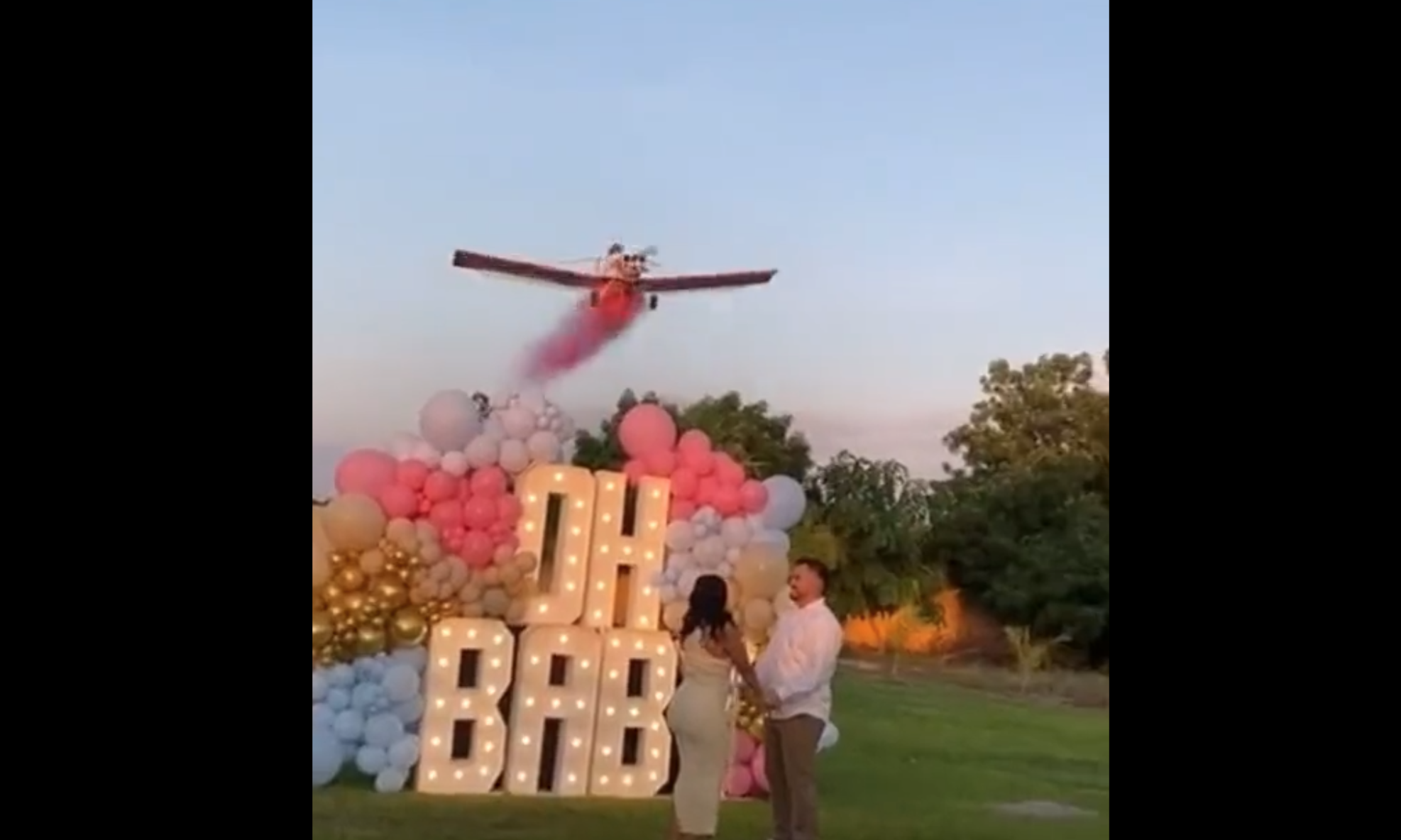 Pilot Loses His Life In Extreme Gender Reveal Stunt