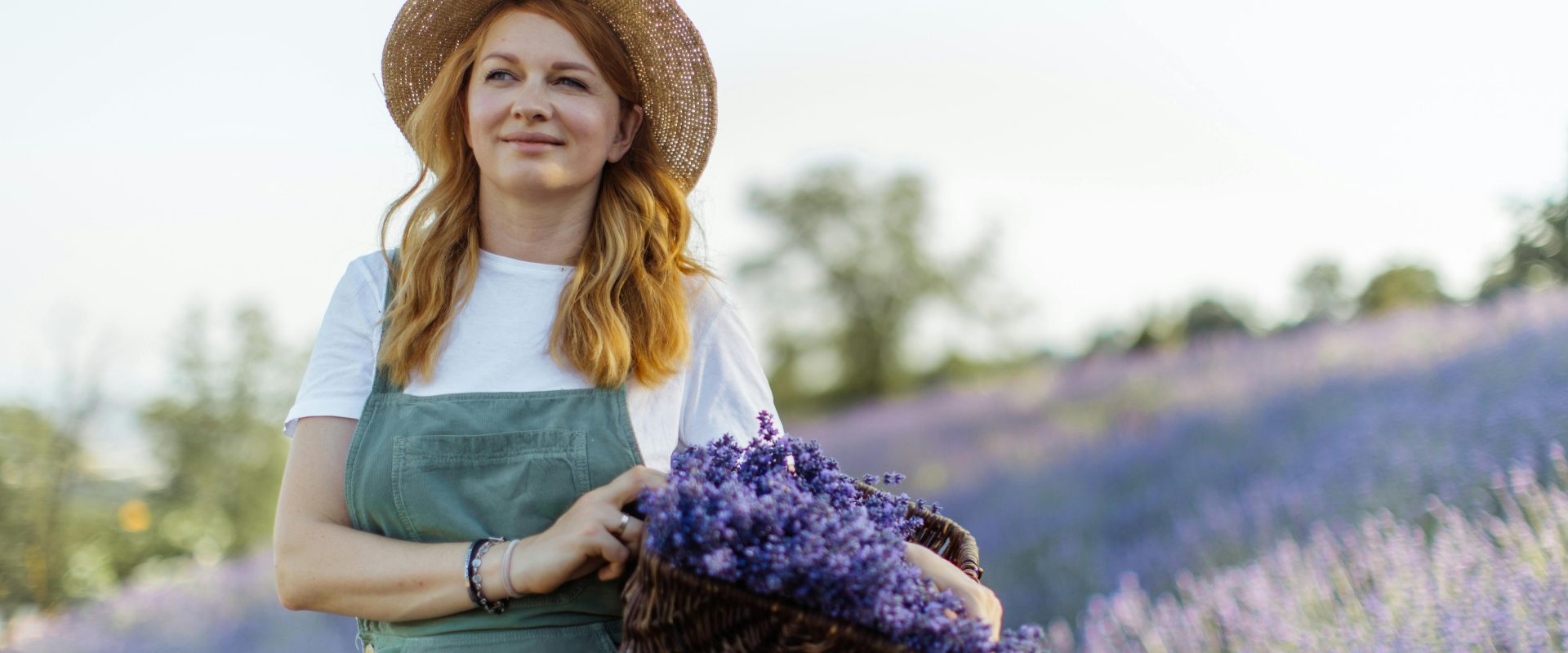 landscaping with lavender