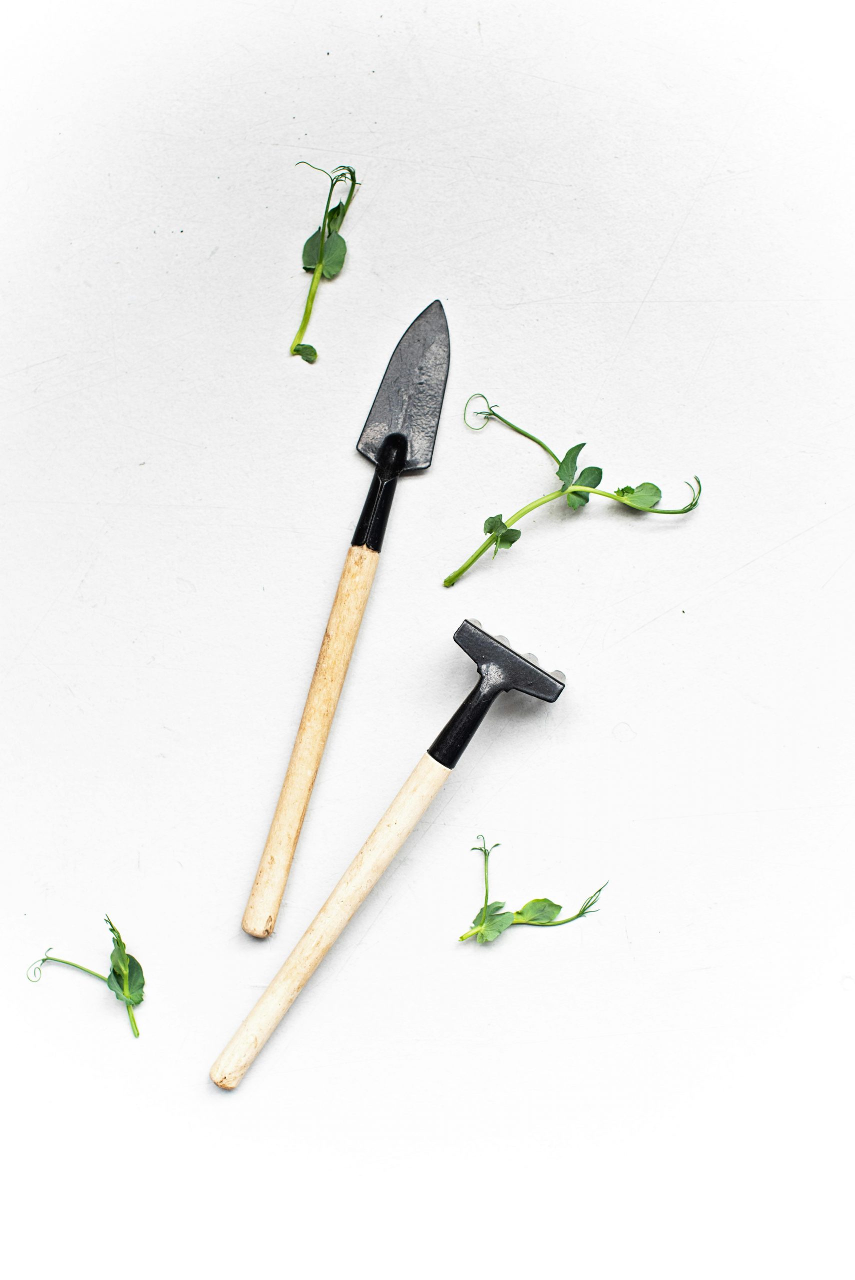 garden tools