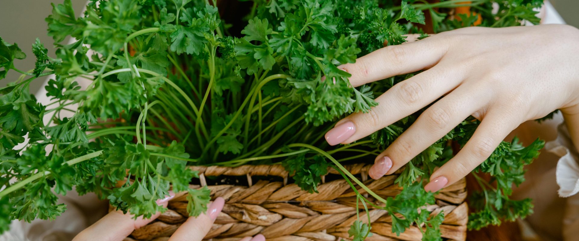 Here's why parsley deserves a spot in your diet