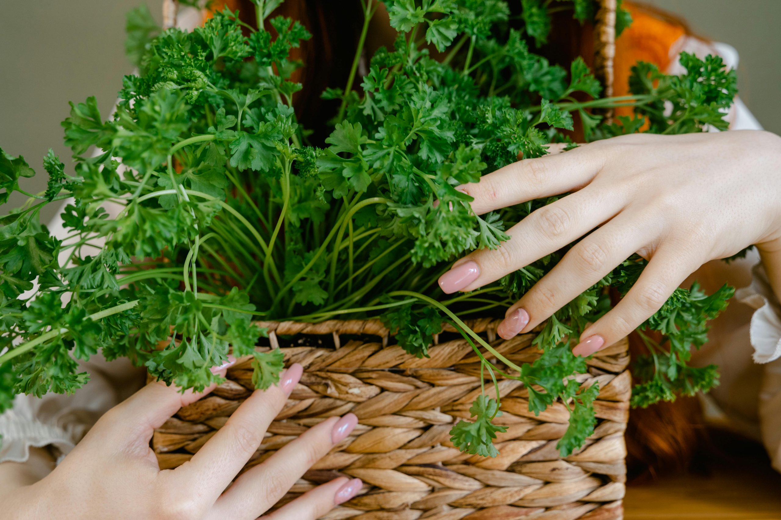 Here's Why Parsley Deserves A Spot In Your Diet 