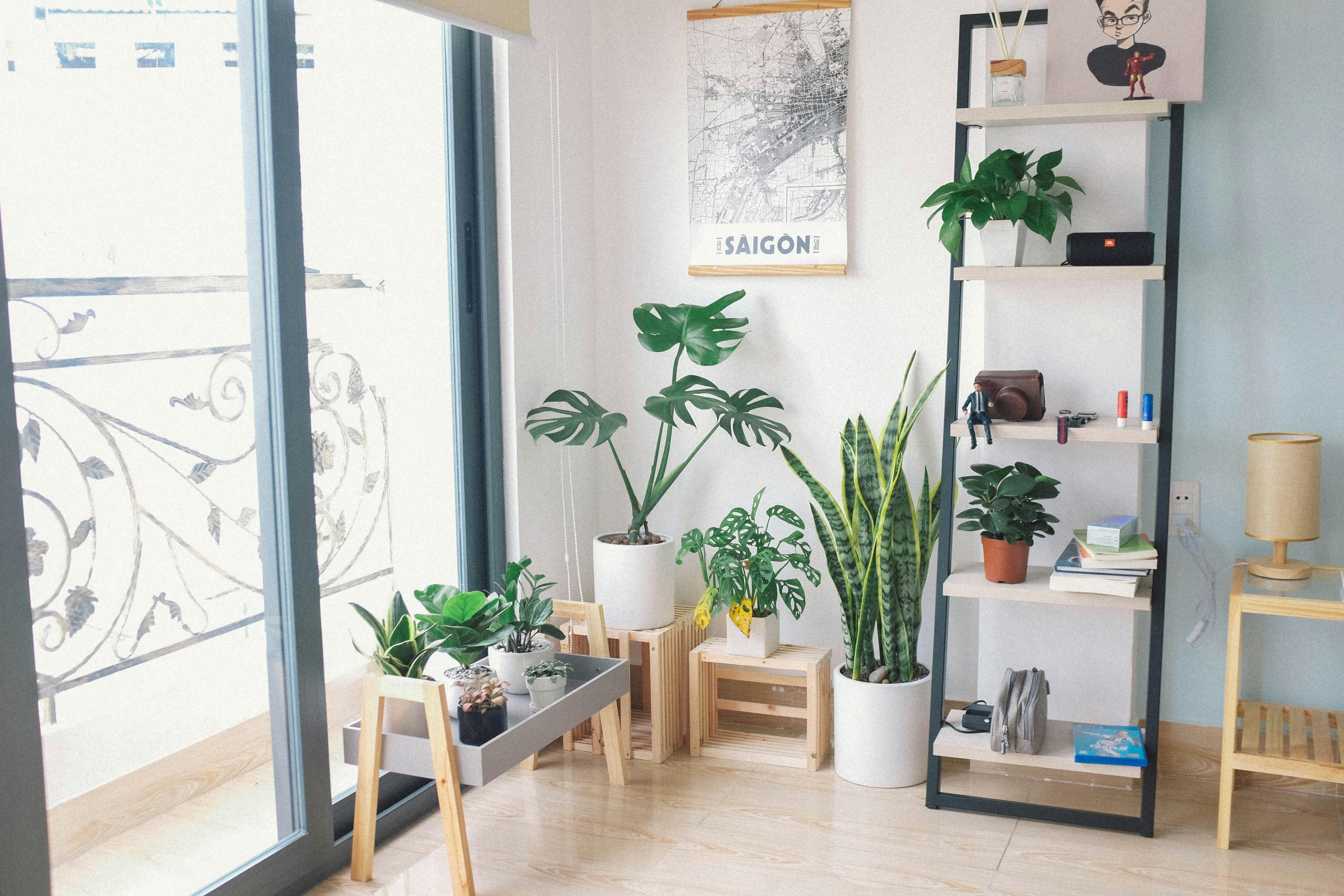 corner houseplant