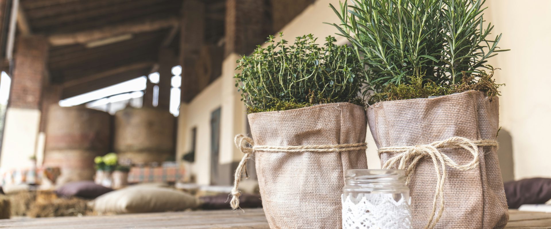 The unexpected benefits of rosemary