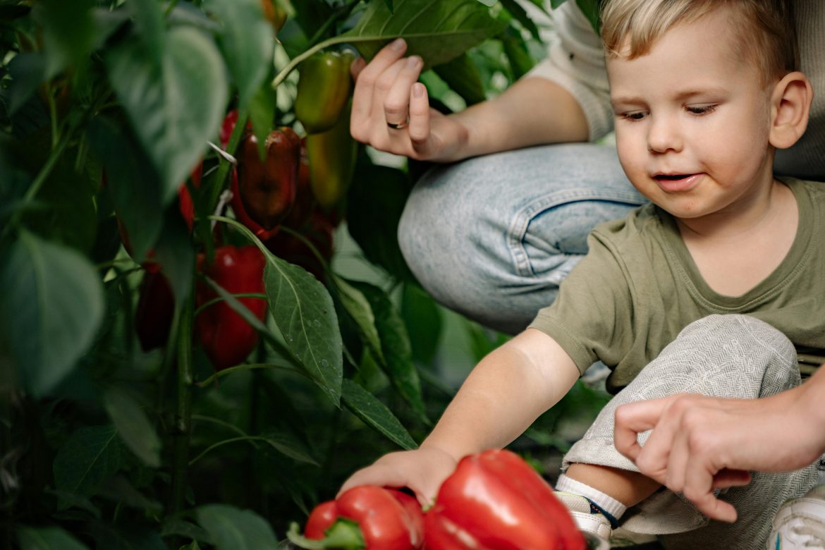 how-to-make-veggies-taste-good-for-kids-woman-and-home-magazine