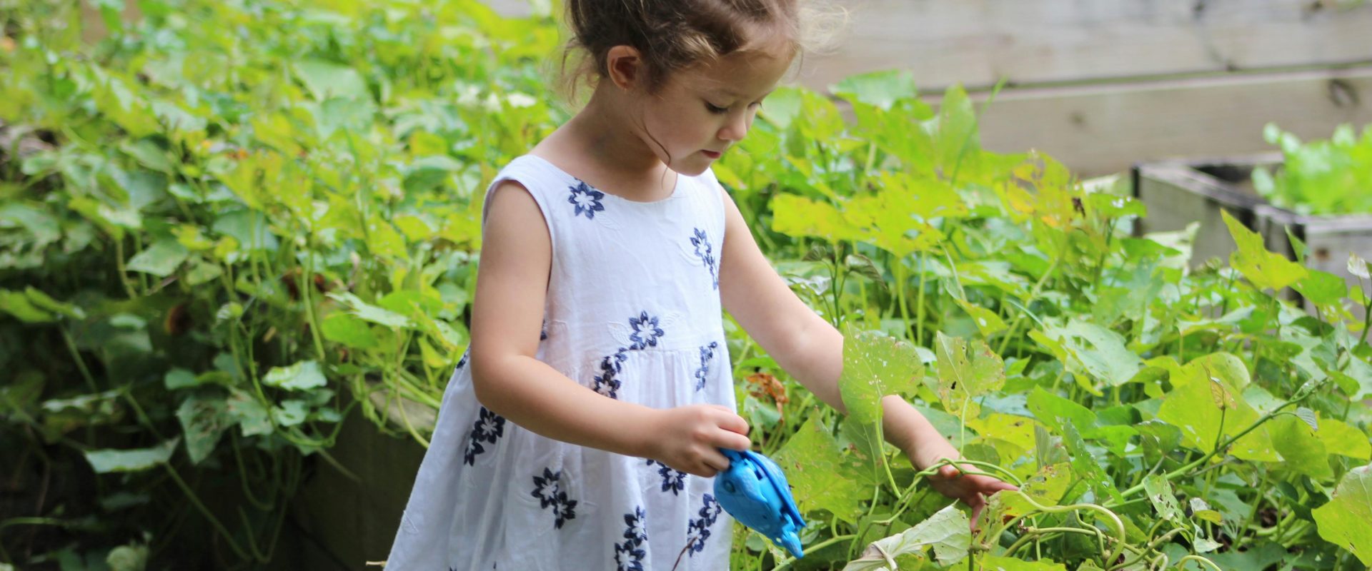 Fast growing plants for a fun gardening experience with kids