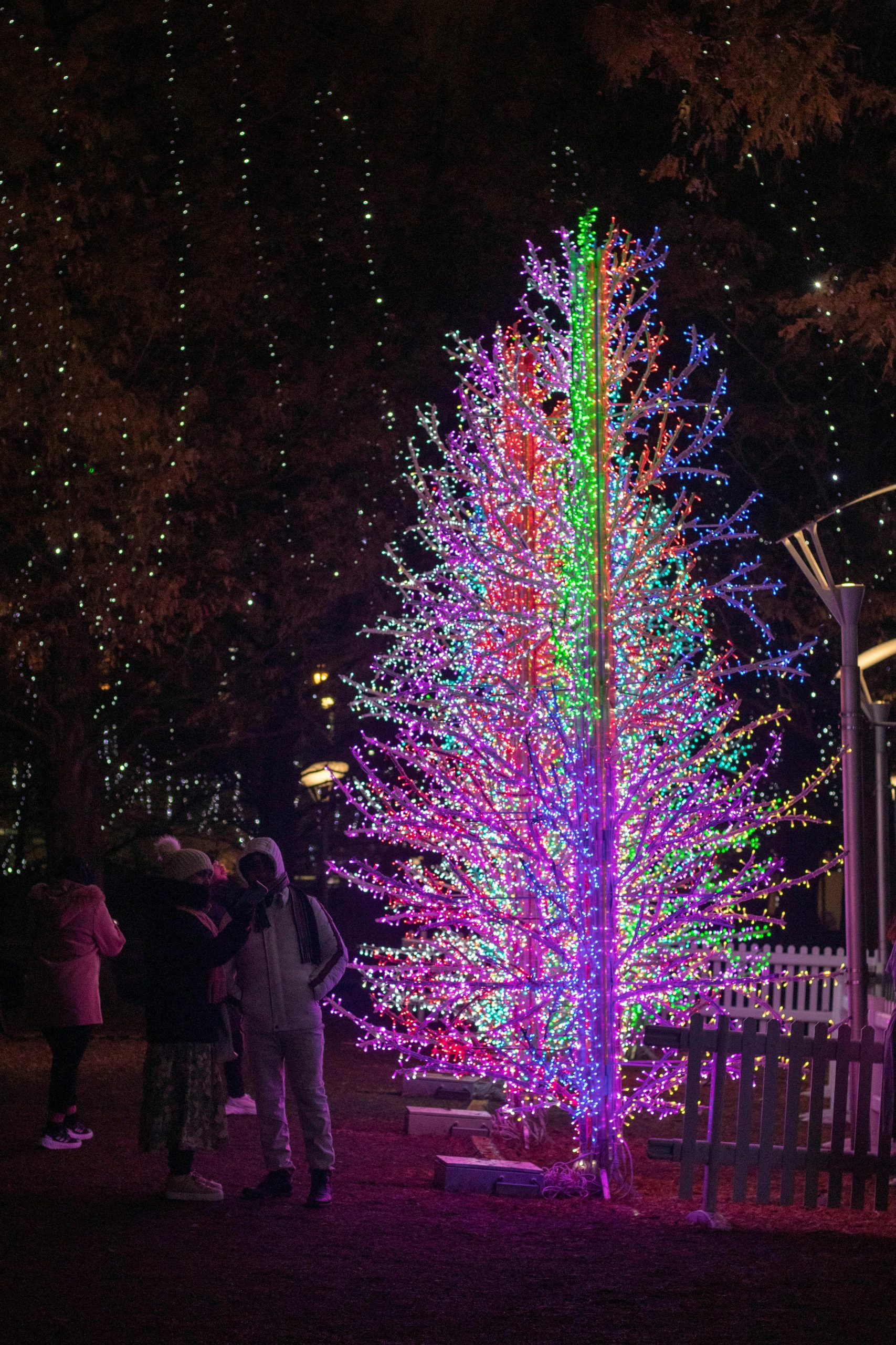 colourful christmas tree